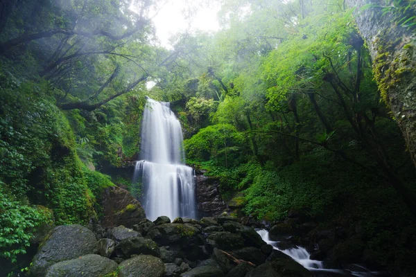 Hermosa Cascada Sedosa Bosque Brumoso — Foto de Stock