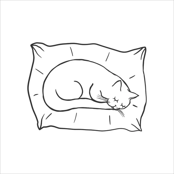 Lindo Gato Dormido Almohada Dulce Garabato Páginas Para Colorear Personaje — Vector de stock
