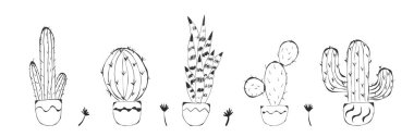 Set of cacti in pots. Hand drawn cactus lineart. Home plants succulents black and white pattern. Cute cactus doodle, floral pattern.