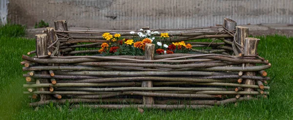 Mini flower garden in urban environment with yellow and red flowers