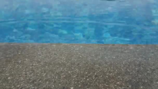 Havuzda Yüzmek Havuz Kenarında Dalgaları Yüzme Havuzu Suyu — Stok video