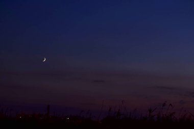 Akşam gökyüzünün arka planında hilal, ufuk batan güneş tarafından renklendirilir..