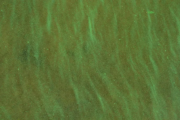 蓝绿色海藻浓度较高的河流中的水 — 图库照片
