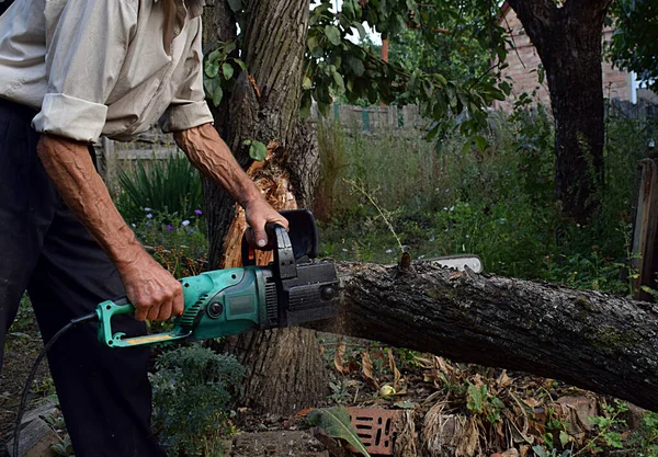 Muž Odřízl Elektrickou Pilou Větev Zlomeného Stromu Bouři — Stock fotografie