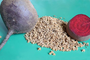 Kırmızı pancarın tohum ve kökleri.