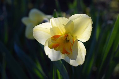  Rus birliklerinin bombardımanı sonucu konut ve kamu hizmetleri binası yıkıldı.