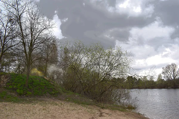 Spring Landscape River Bank Blossoming Trees Cloudy Weather — стоковое фото