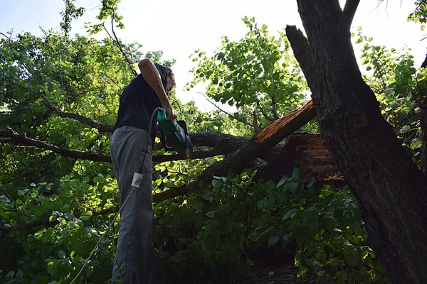 一个人在暴风雨后被断树的树枝电锯截断了 — 图库照片