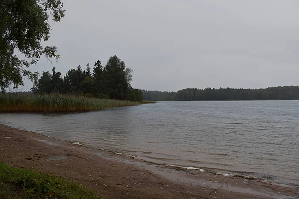 Manzara Sonbaharın Başlarında Fırtınalı Havada Yağmurda Göl — Stok fotoğraf