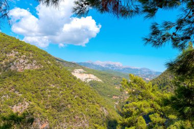 Türkiye 'nin Alanya kenti yakınlarındaki çam dallarıyla çerçevelenmiş Dimchay vadisinin güzel dağ manzarası.
