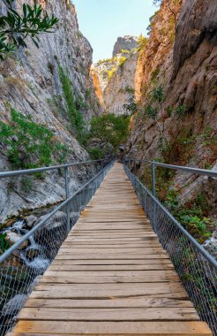 Türkiye 'nin Alanya kenti yakınlarındaki Sapadere Kanyen' de yürüyüş yolu. Dikey çekim.