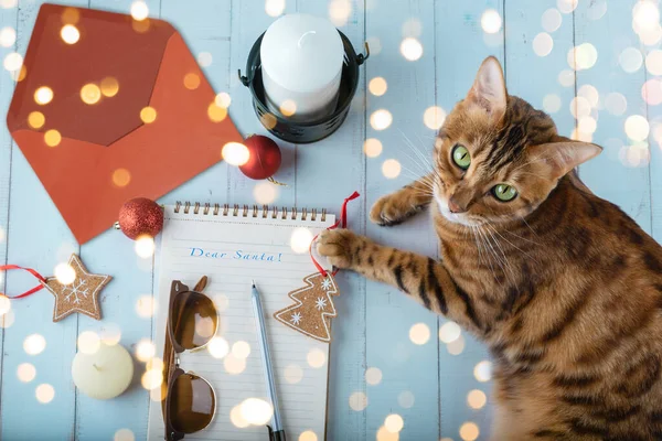 클로스에게 보내는 크리스마스 장난감 그리고 고양이에게 위에서 — 스톡 사진