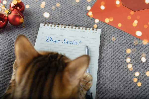 Gato Bengala Está Escribiendo Una Carta Navidad Santa Claus Vista — Foto de Stock