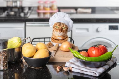 Kedi şef mutfak masasında aşçı şapkasıyla oturuyor..