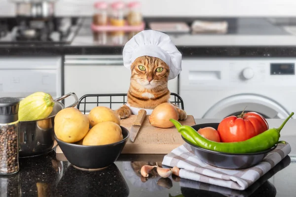 猫厨师戴着厨师帽坐在厨房桌旁 — 图库照片