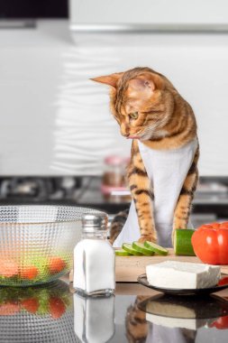 Kedi bir kase salataya bakarken dudaklarını yalıyor. dikey çekim