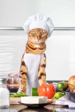Zencefilli kedi ve Yunan salatası için malzeme. dikey çekim