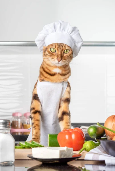 Gember Kat Ingrediënten Voor Griekse Salade Verticaal Schot — Stockfoto