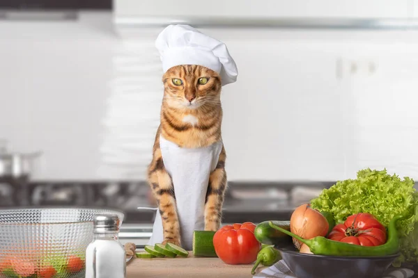ベンガル猫 キッチンで調理 まな板と野菜 — ストック写真