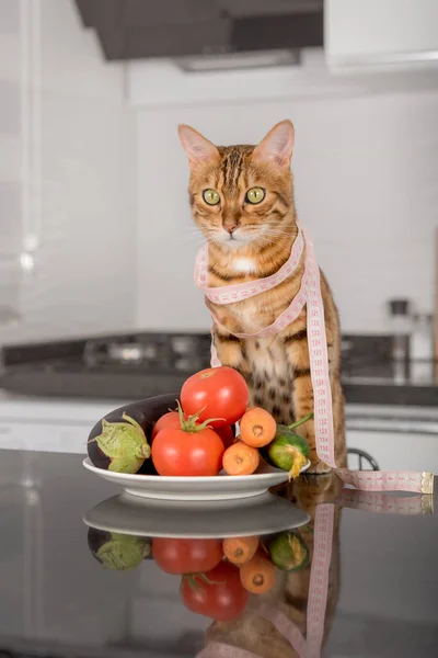 Bengal Cat Plate Fresh Vegetables Measuring Tape His Neck Vertical — Stock Photo, Image