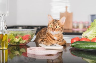 Funny cat, fresh vegetables, salad dish and measuring tape. Healthy food concept.