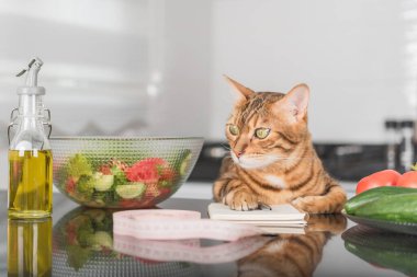 Funny cat, fresh vegetables, salad dish and measuring tape. Healthy food concept.