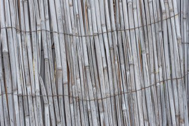Gray fence made of dry stems. Dry thin reed in the wall. Reed texture close up.
