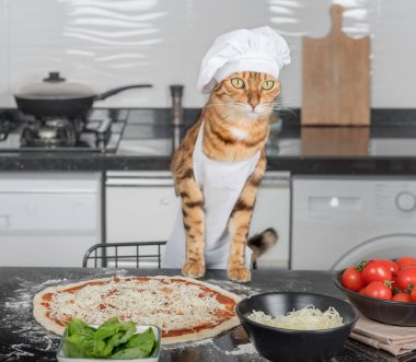 A cat dressed as a chef prepares Margherita pizza in the kitchen.