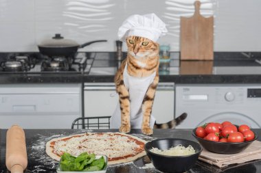 A cat dressed as a chef prepares Margherita pizza in the kitchen.