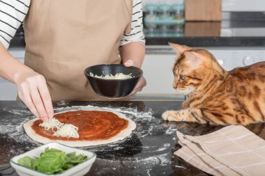 The woman owner and her cat lay out the pizza toppings on the dough.