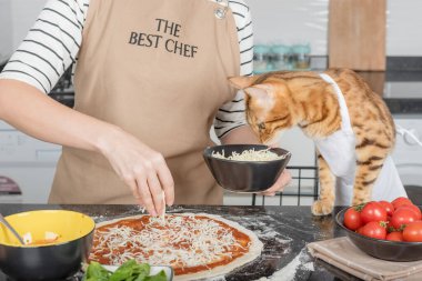 The woman owner and her cat lay out the pizza toppings on the dough.