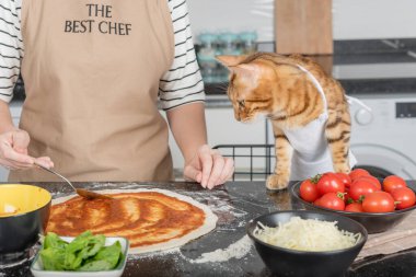 The woman owner and her cat lay out the pizza toppings on the dough.