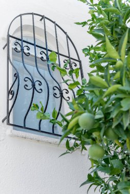 Duvardaki pencere. Pencerede dövülmüş güzel bir kafes var. Dikey çekim.