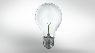 bir ampul bitki. yeşil enerji concept.hd