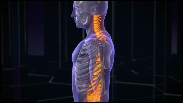 Back Pain Treatment. HD — Stock Video ©  #50578547