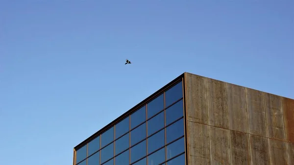 Edifício Moderno Com Fachada Vidro Pássaro Contra Céu — Fotografia de Stock