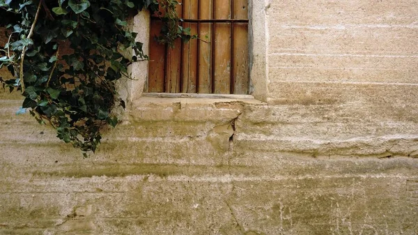 Fachada Con Ventana Amurallada Arbustos — Foto de Stock