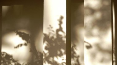 Beyaz duvara gölgeler yerleştirin