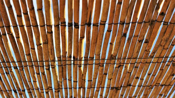 arka plan olarak sazlık çatı