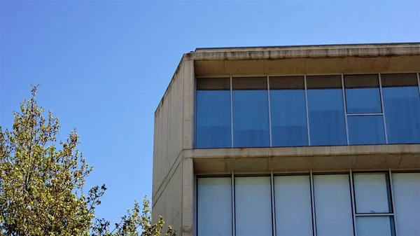 Здание Стеклянным Фасадом Деревом Против Неба — стоковое фото