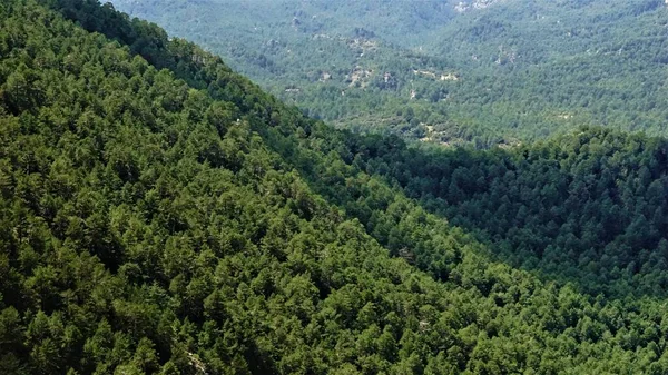 Las Jako Tło Górach — Zdjęcie stockowe