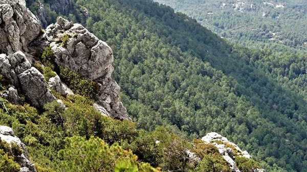 Пагорби Сховають Гірські Ліси Фон — стокове фото