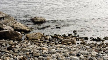 Deniz kıyısındaki kayalık sahil.