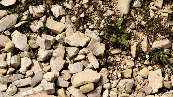 Rocky Ground Background — Stock Photo, Image