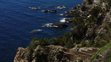 Çam ağaçları olan kayalık deniz kıyıları