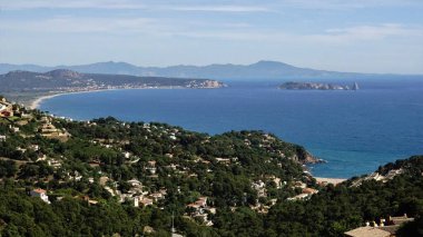 Çamlar ve suyla kıyı şeridi