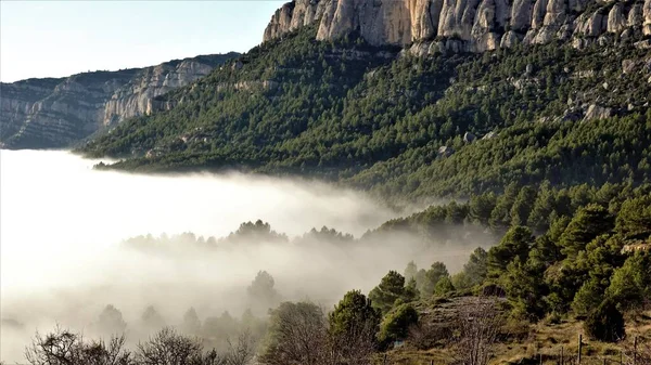 Thick Fog Mountain Valley — Stockfoto
