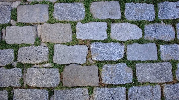 Pavés Avec Des Herbes Comme Fond — Photo