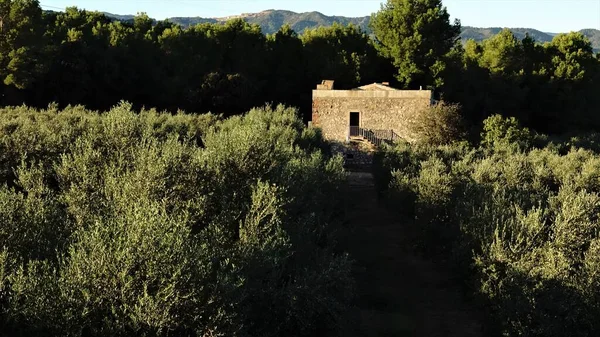 Casa Rural Entre Campos Olivos — Foto de Stock