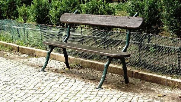 公园里的木制长椅 — 图库照片